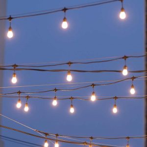 string lights in evening