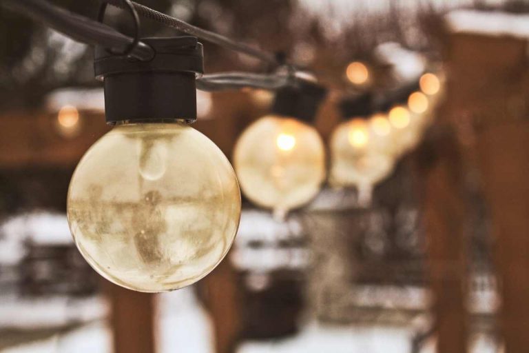 festoon lights in winter time