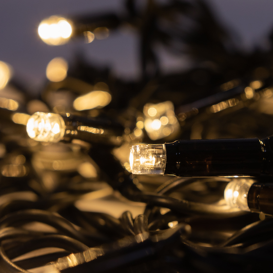 Bright, warm white fairy lights with black cable at night